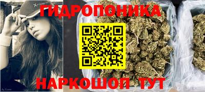 гашик Нальчик