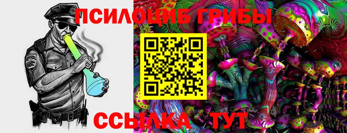Сатка  где купить   Вход с VPN  Галлюциногенные грибы прущие грибы 