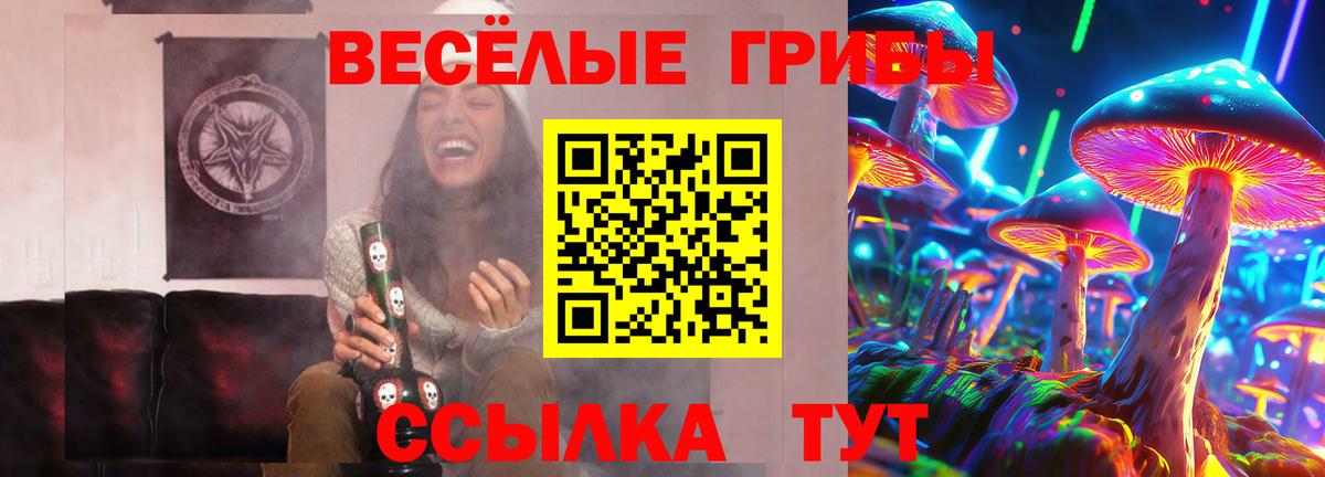 Галлюциногенные грибы Magic Shrooms Сатка