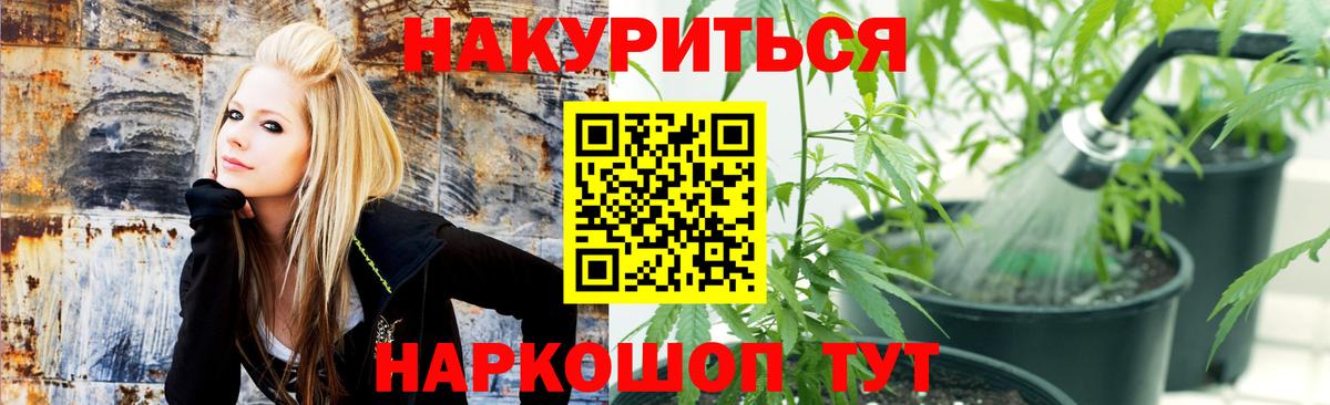Канабис план Сатка